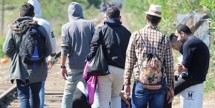 Huszonnyolc afgán és pakisztáni illegális migránst tartóztattak fel Sátorhelynél Huszonnyolc afgán és pakisztáni illegális migránst tartóztattak fel Sátorhelynél