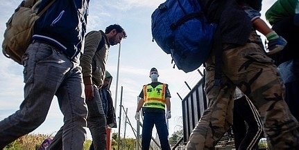 Ezúttal Majs közelében kapcsoltak le migránsokat, visszakísérték őket a határra Ezúttal Majs közelében kapcsoltak le migránsokat, visszakísérték őket a határra