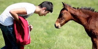 Jegyezzük meg: Lovász utca is van már Mohácson