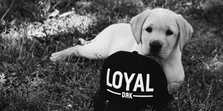 Schatzl Nadine és Pávkovics Bence is csatlakozott idén a jótékonysági akcióhoz