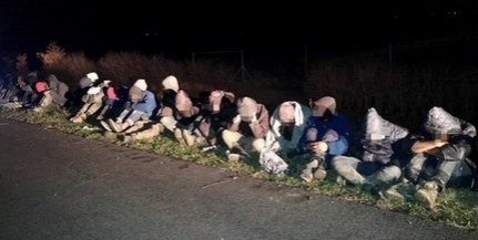 Két csoportban tizenhét migránst fogtak a határvédők Bóly és Nagynyárád közelében