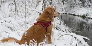 A tél legerősebb lehűlésére figyelmeztetnek