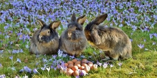 Életre kelnek a húsvéti hagyományok Ópusztaszeren