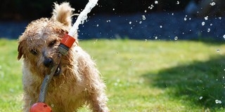 Csak hat áprilisi nap időjárása felelt meg a havi átlagnak