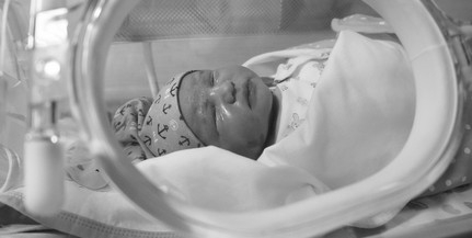 Újszülöttet találtak egy budapesti kórház inkubátorában