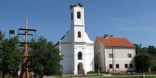 Különös gólyapusztulás történt a vejti templom tornyában