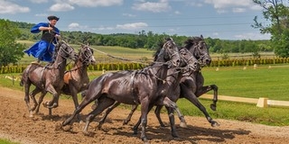 Magyarországi nemzetiségekről rendeznek kiállítást