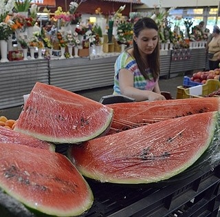 Hiánycikk a munkás kéz, nehezen találnak napszámost az ormánsági dinnye leszedésére Hiánycikk a munkás kéz, nehezen találnak napszámost az ormánsági dinnye leszedésére