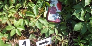 Pénztárcákat lopott egy nő Siklóson, lebukott