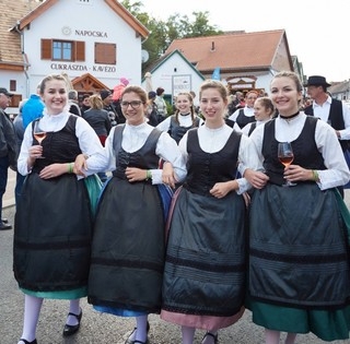 Több tízezer vendéget várnak Villányba, a vörösbor fővárosába Több tízezer vendéget várnak Villányba, a vörösbor fővárosába