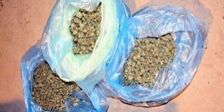 Nem csak termelte, tinktúrát is csinált a fűből