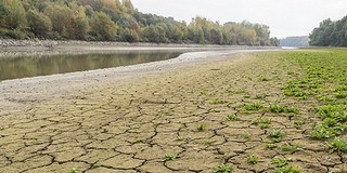 Alig van víz a Duna medrében, szinte biztos, hogy megdől Mohácsnál is a negatív rekord