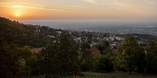 Nemcsak a betegekre veszélyes a szennyezett levegő