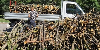 Adatbázissal segíti a tűzifát vásárlókat a Nébih