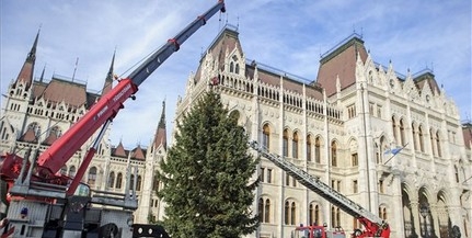 Felállították szerdán az Ország Karácsonyfáját Budapesten