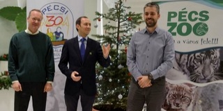 Plüssmaciért élő macit: jótékonysági játékgyűjtést rendeznek az állatkertben