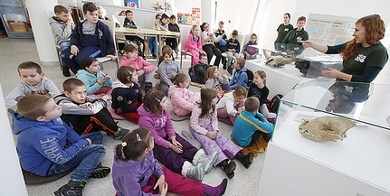 Megkezdődött az élményekben gazdag tanulás az állatkertben, 13 ezer gyermeket várnak