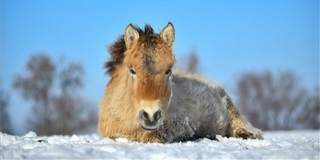Hétvégén jelentősen megenyhül az időjárás