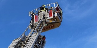 Felmászott a fára, de lejönni már nem tudott egy sásdi atyafi