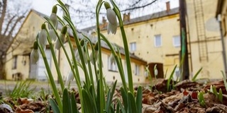 Kissé ugyan hűvösebb, de napos, kora tavaszias lesz az időjárás a héten