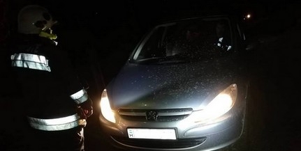 Megviccelt egy családot a GPS, egy párhónapos csecsemővel elakadtak a Mecsekben Megviccelt egy családot a GPS, egy párhónapos csecsemővel elakadtak a Mecsekben