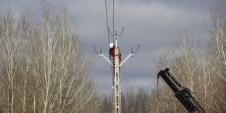 Madárbaráttá alakítják a vezetékeket a Duna árterében