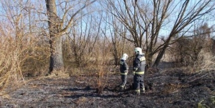 Ismét a szabadtéri tüzek adtak munkát a tűzoltóknak