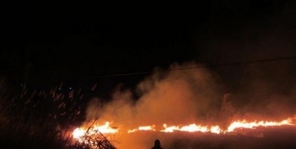 Három hektáron égett a gaz a Cserdi-Szőlőhegyen