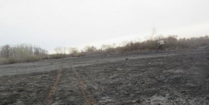 Erdőt, nádast tarolt le egy újabb tűzeset Baranyában