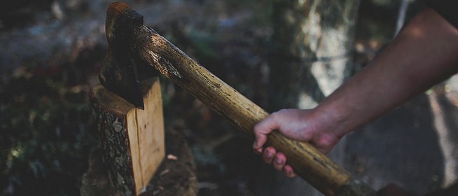 Letöltendő börtönre ítélték a kutyáit baltával agyonverő mohácsi férfit Letöltendő börtönre ítélték a kutyáit baltával agyonverő mohácsi férfit