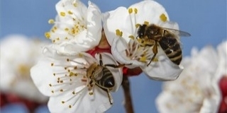 Hűvös reggel után kellemes meleg vár ránk kedden