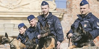 Kutya jó velük: a határok védelmében is segítik a zsaruk munkáját a kutyák