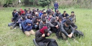 Negyvenöt migránst kapcsoltak le a határvédők Hercegszántónál