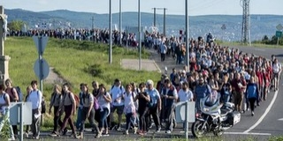 Több ezren meneteltek Pécs és Máriagyűd között az egyházmegye zarándoklatán