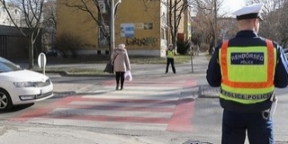 Zebra fedőnéven akcióznak a zsaruk Baranyában Zebra fedőnéven akcióznak a zsaruk Baranyában