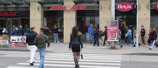 Zebra fedőnéven akcióztak a zsaruk Baranyában, gyalogosokat is figyelmeztettek Zebra fedőnéven akcióztak a zsaruk Baranyában, gyalogosokat is figyelmeztettek