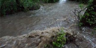 Több mint kétszáz riasztást kaptak a tűzoltók a vihar miatt