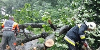 Rengeteg bejelentést kaptak a biztosítók Baranyából is Rengeteg bejelentést kaptak a biztosítók Baranyából is