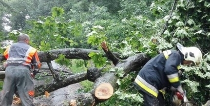 Baranyai tűzoltók is segítenek a viharkárok felszámolásában Szabolcsban