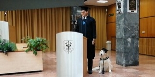 Vakvezető kutyájával vette át diplomáját a PTE hallgatója Vakvezető kutyájával vette át diplomáját a PTE hallgatója