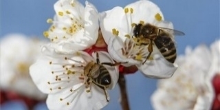 Sok-sok napsütés várható szerdán, harminc fokkal