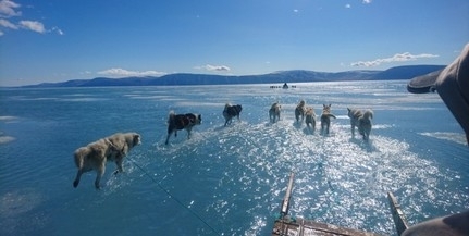 Aggasztó mértéket öltött a jégolvadás Grönlandon