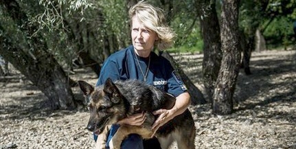 Lilu utolsó bevetése: nyugdíjba megy a Hableány három áldozatát felkutató kutya