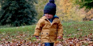 Itt van az ősz, itt van újra: borús, esős, szomorkás idő várható a hétvégén Itt van az ősz, itt van újra: borús, esős, szomorkás idő várható a hétvégén