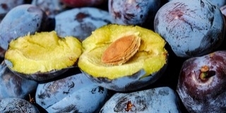 Átlagos mennyiségű, de jó minőségű idén a szilva