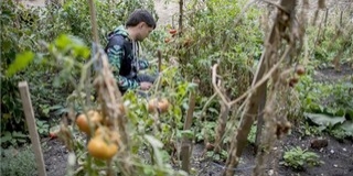 A pécsi Zöld Folt Közösségi Kertje nyerte az E. ON díját