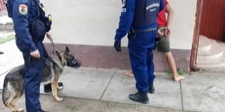 Családi vállalkozásban működtetett kuplerájt számoltak fel