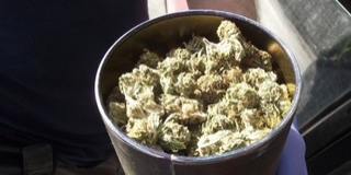 Igazoltatáskor bukott le egy baranyai drogdíler - Egy vödörnyi fű volt nála