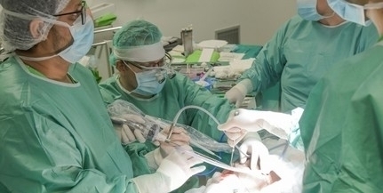 Negyven veseátültetést végeztek el tavaly Pécsett Negyven veseátültetést végeztek el tavaly Pécsett