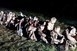 Több mint kétszeresére emelkedett a Baranyában elfogott migránsok száma